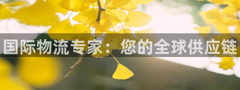 28圈官方网站