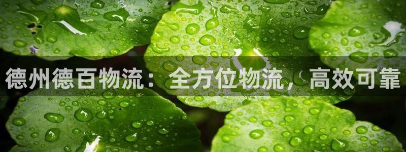 28圈注册与教程