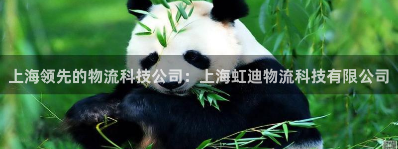 28圈注册用户名是什么：上海领先的物