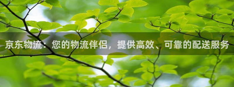 28圈模拟器下载