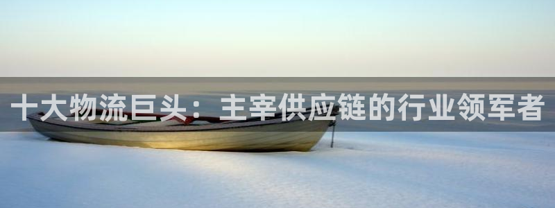 28圈注册网站链接怎么弄：十大物流巨