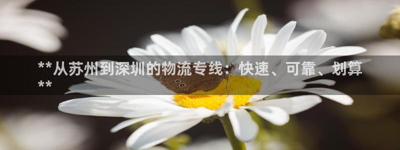 28圈注册网页：**从苏州到深圳的物