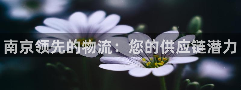 28圈自行车图片