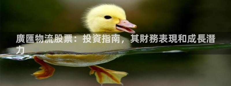 28圈游戏官网入口