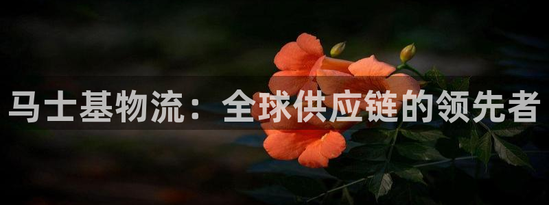 28圈反水怎么算