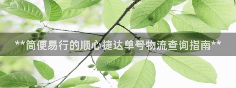 南宫28圈官网版