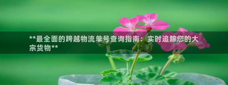 28圈分分28预测