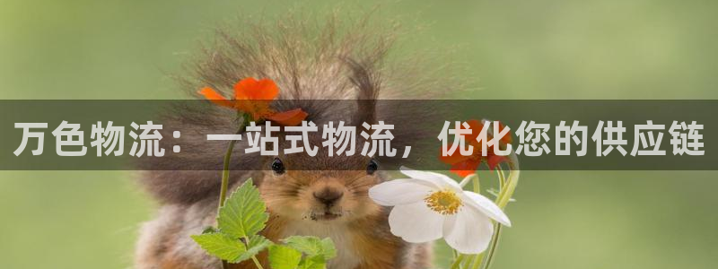 28圈犯法吗