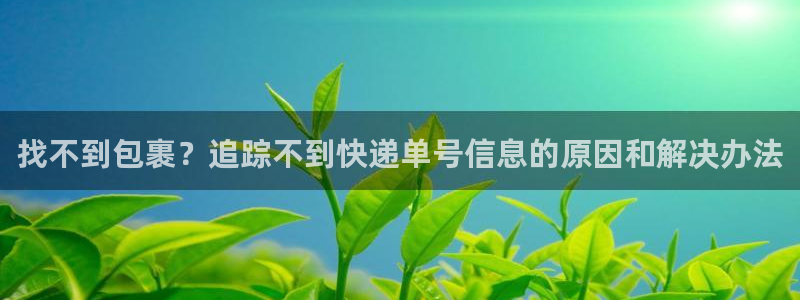 28圈预测