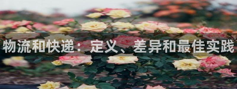 28圈分分压单双技巧