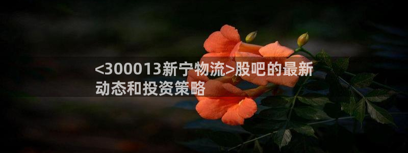 28圈加拿大技巧