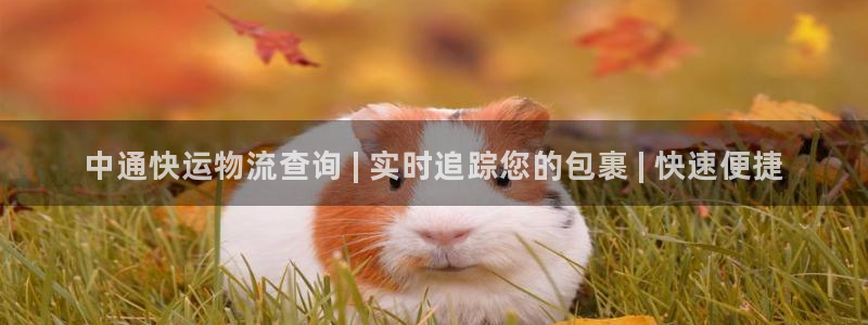 28圈自行车搞笑图片