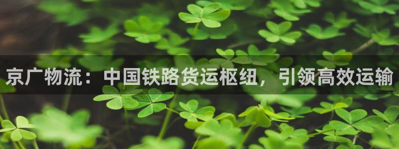 28圈注册网址：京广物流：中国铁路货