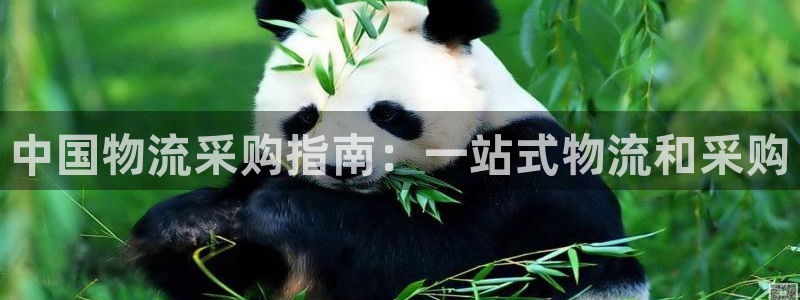 28圈代理落网：中国物流采购指南：一