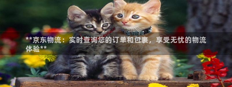 28圈怎么下载教程