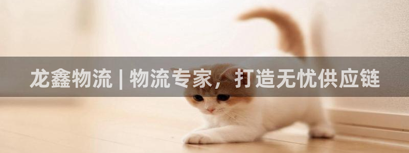 28圈麻将
