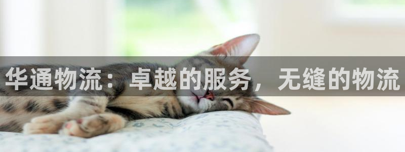 28圈登录流程：华通物流：卓越的服务
