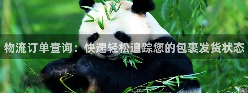 28圈防失联网址：物流订单查询：快速