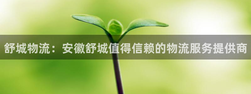 28圈加拿大是什么