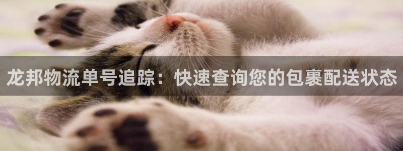 28圈app怎么注册账号：龙邦物流单