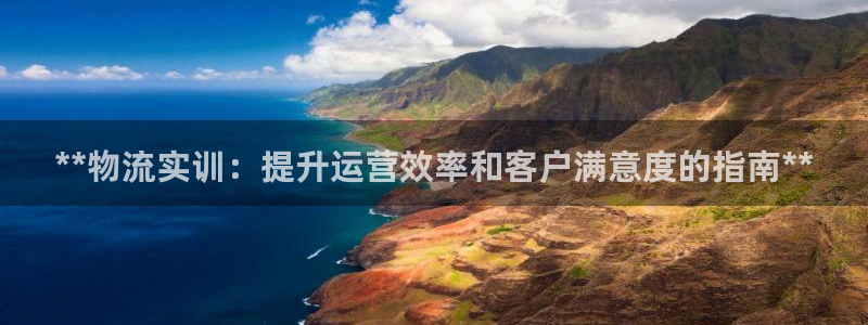 28圈登录：**物流实训：提升运营效