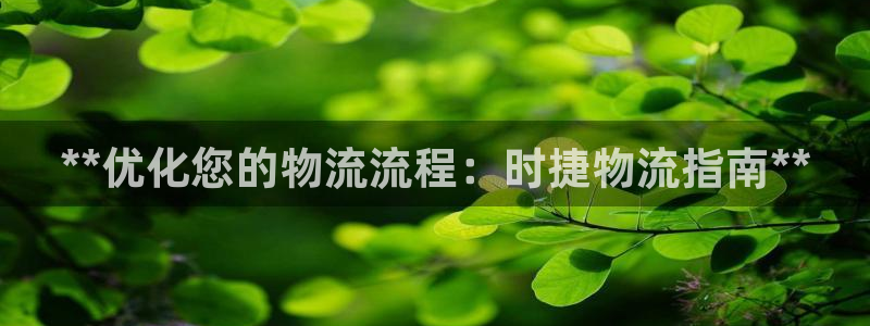 28圈预测网