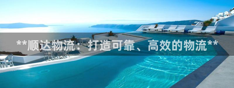 28圈模拟器在线使用：**顺达物流：打造可靠、高效的物流**