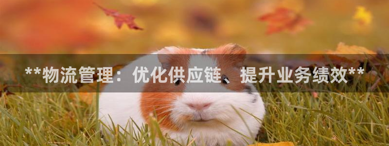 28圈p扣除是什么意思：**物流管理