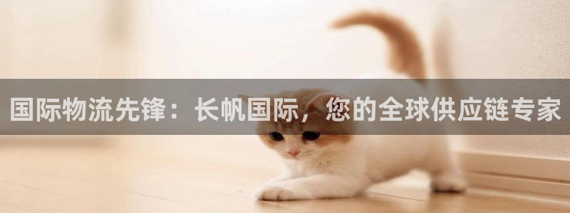 南宫28圈官网版