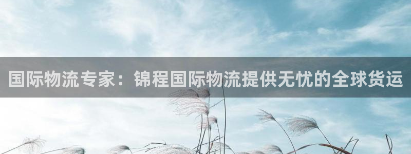 28圈app能退款吗：国际物流专家：锦程国际物流提供无忧的全