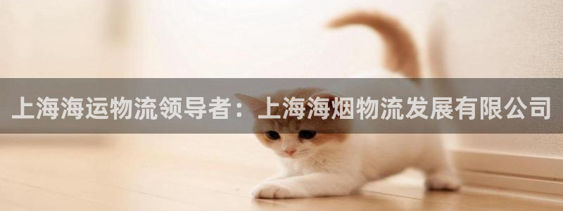 28圈正规吗?