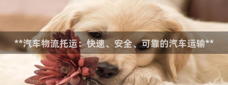 28圈账号注册：**汽车物流托运：快