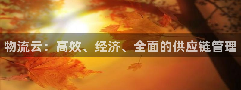 自行车28圈是什么意思：物流云：高效、经济、全面的供应链管理