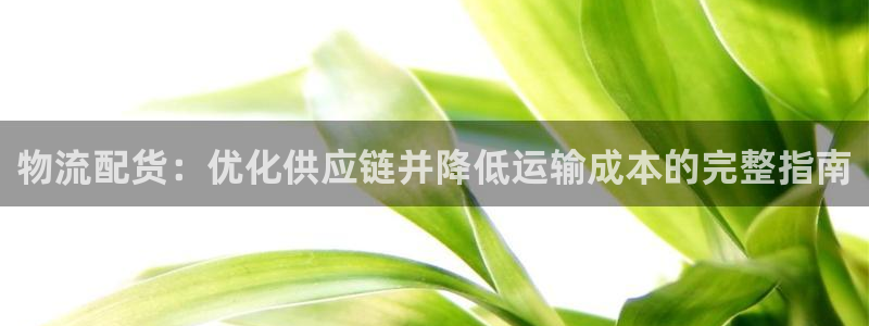 28圈提现不到账