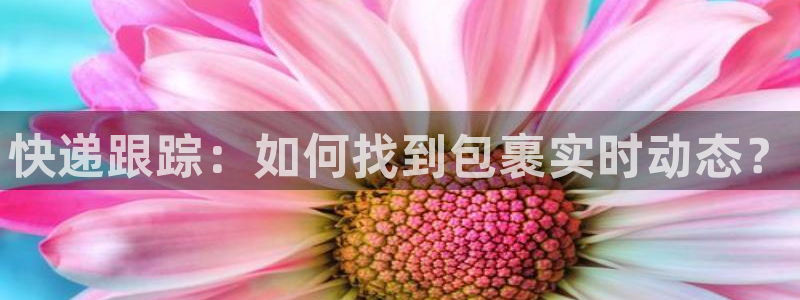 28圈黑平台吗