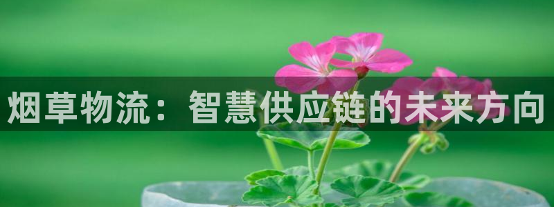 28圈加拿大app预测