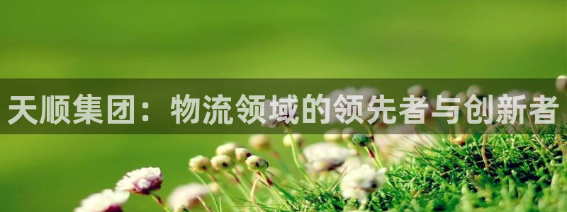 28圈p扣款什么意思