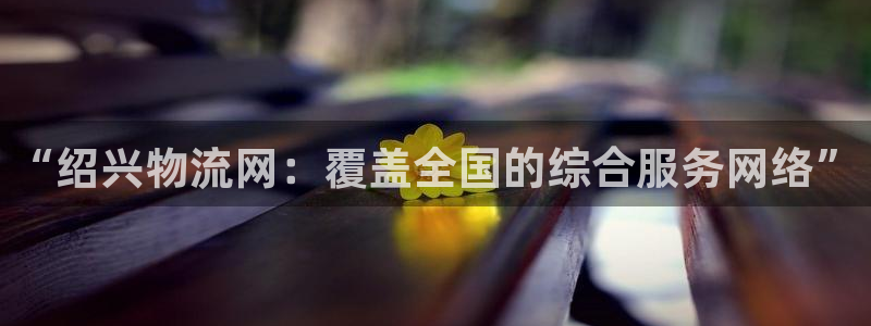 28圈软件