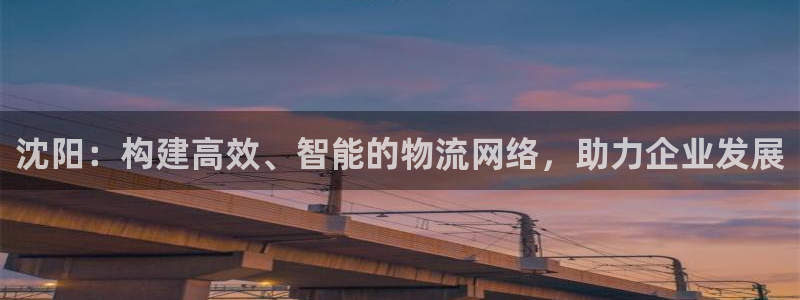 28圈网赌案件