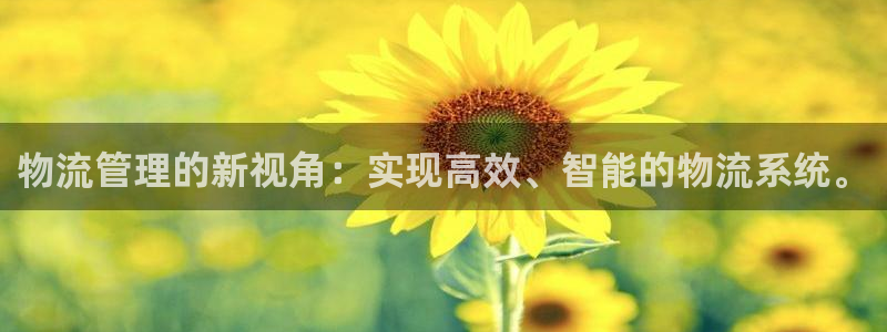 28圈口内径是多大