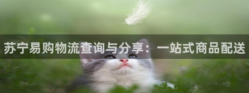 28圈.ccmpc28
