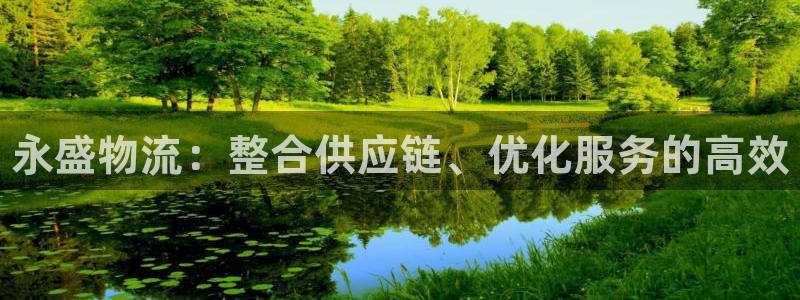 28圈网赌有什么风险：永盛物流：整合