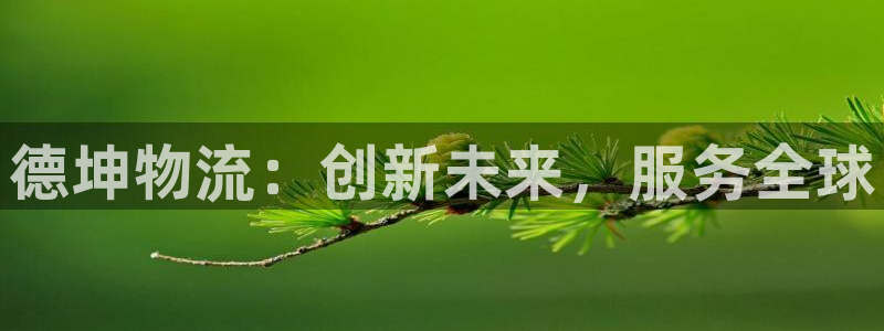 28圈二维码:德坤物流:创新未来,服
