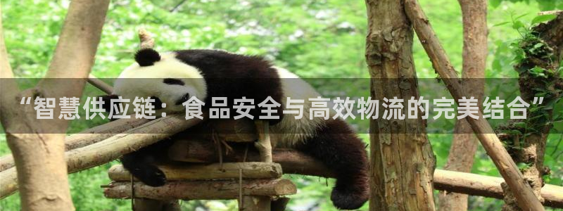 28圈加拿大模拟器:“智慧供应链:食