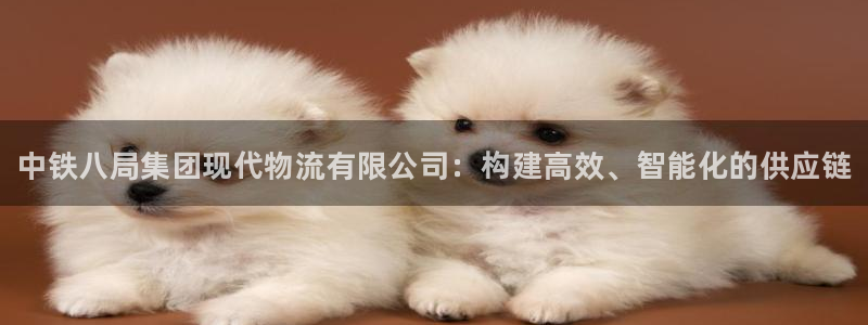 28圈注册网站多少钱:中铁八局集团现