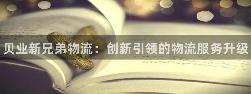 28圈ccm游戏：贝业新兄弟物流：创新引领的物流服务升级