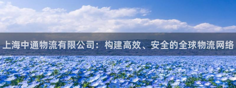 28圈模拟器在线玩:上海中通物流有限