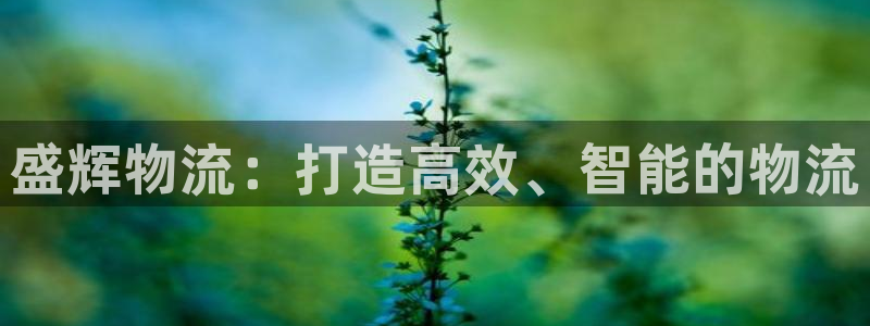 28圈连接:盛辉物流:打造高效、智能