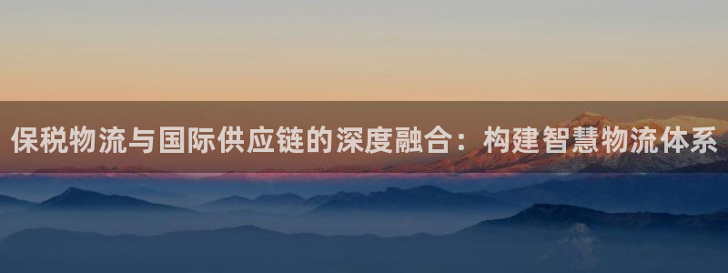 28圈是南宫旗下的吗:保税物流与国际