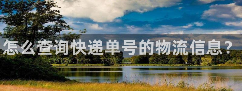 28圈注册问一问：怎么查询快递单号的